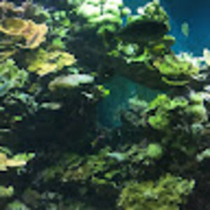 Meet your Posher, Abel